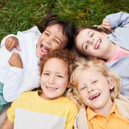 Vertical top view portrait of diverse group of kids lying on grass in park and looking at camera smiling